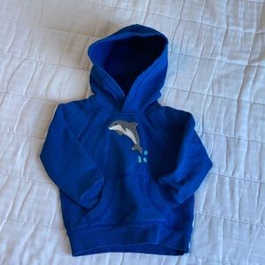 Hanna Andersson hooded sweatshirt 2T